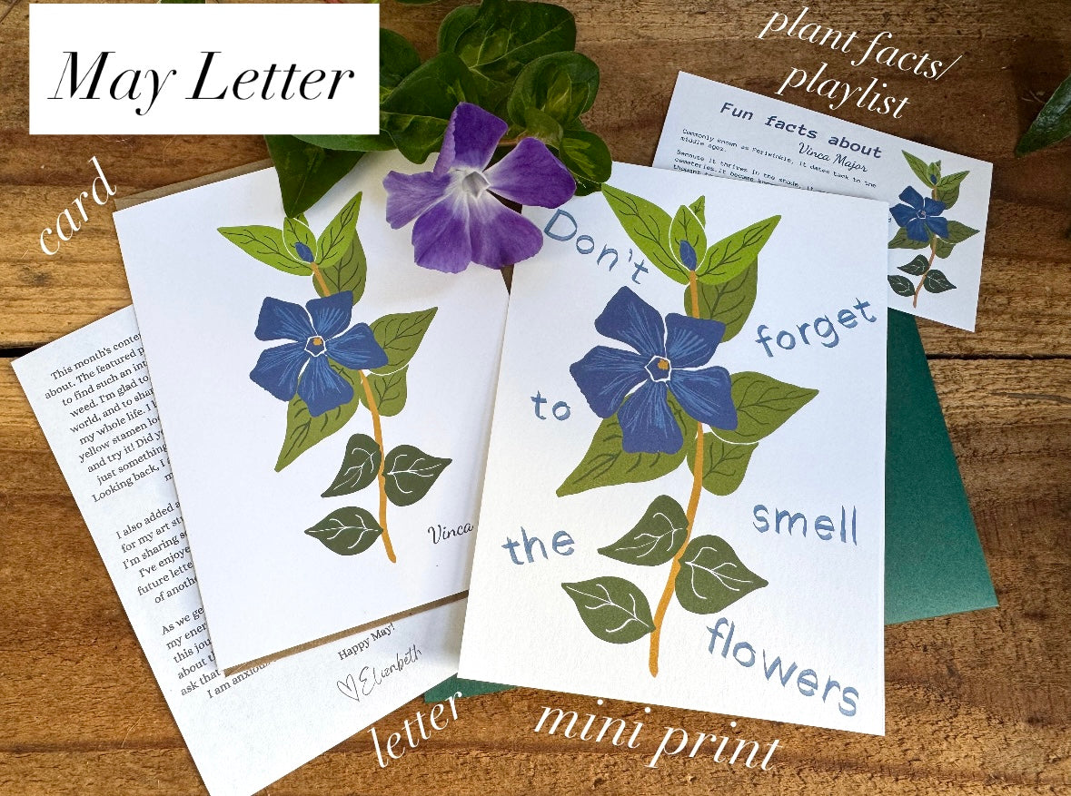 The Love Club Monthly Subscription